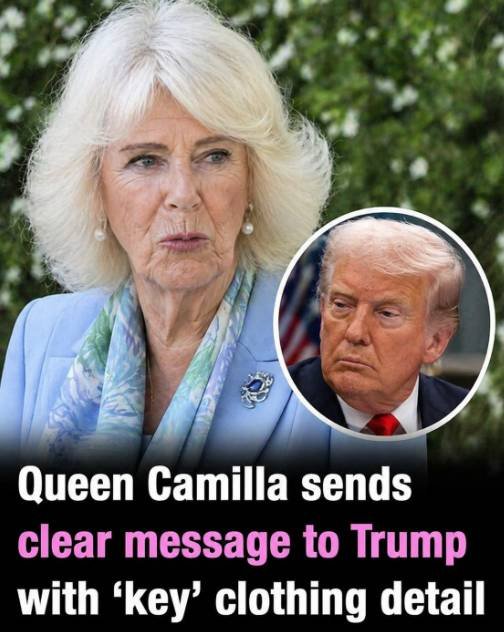 Queen Camilla wearing a symbolic brooch representing unity between the United Kingdom and the United States