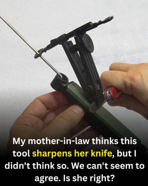 Kitchen knife being maintained with a honing rod on a cutting board