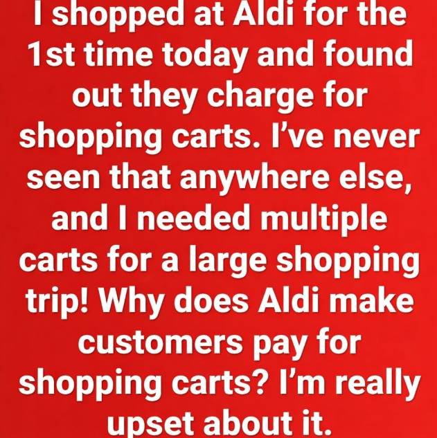 Aldi shopping cart coin deposit system showing a quarter inserted into a cart handle slot
