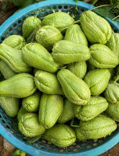 Fresh chayote and lemon drink prepared in a glass as a natural wellness beverage for circulation and energy support