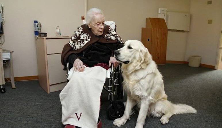 Elderly woman in wheelchair with mysterious dog beside hidden box discovery