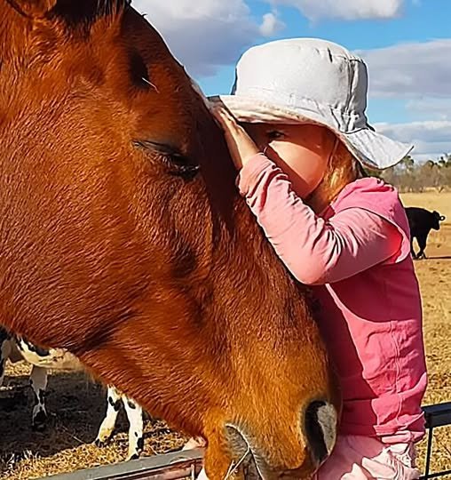 A toddler sits on a wooden post, singing to two horses who are leaning in close, their eyes half-closed in relaxation, as sunlight filters through the trees.