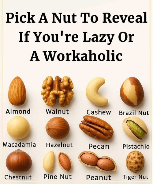 A colorful assortment of nuts—almonds, walnuts, cashews, Brazil nuts, macadamias, hazelnuts, pecans, and pistachios—arranged in a vibrant, inviting display.