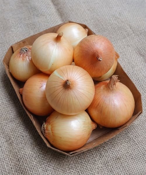 Fresh onions on a wooden cutting board showing red and white varieties