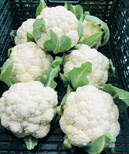 A vibrant plate of roasted cauliflower florets, steaming and golden, with a sprinkle of herbs, showcasing its versatility and appeal.