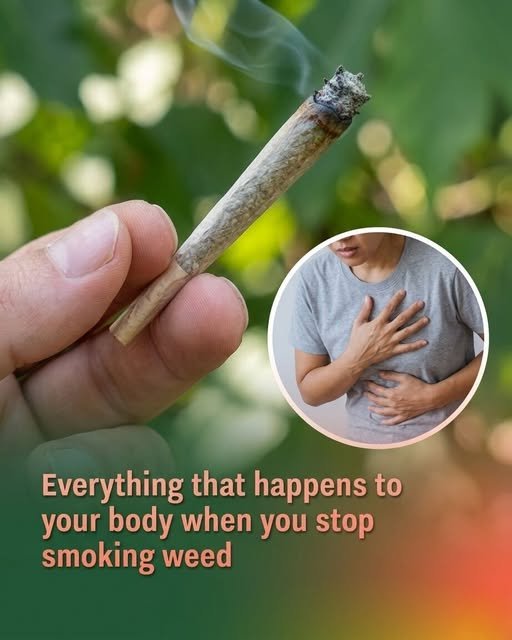 Illustration showing lungs healing, improved sleep patterns, and mental clarity after quitting cannabis and tobacco use.